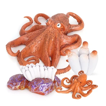 Realistické Životný Cyklus Octopus 4 Samostatné Kusy Cyklu Rastu Model Figúrky Miniatúrne Dekor Zberateľ Deti Vzdelávacie Hračky